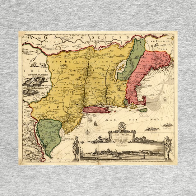 New Netherland, 17th century (C036/9324) by SciencePhoto